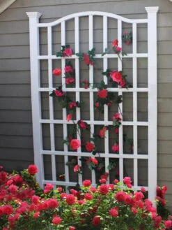 Grande Vinyl Trellis