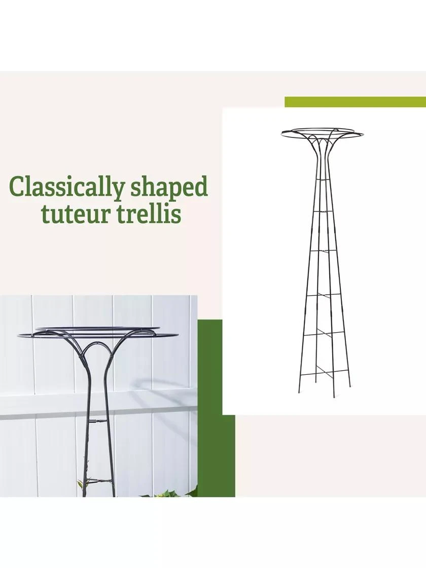 Essex Tuteur, 63" - Image 4