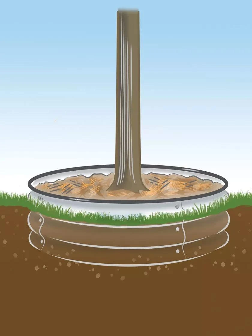 Tree Surround - Image 4