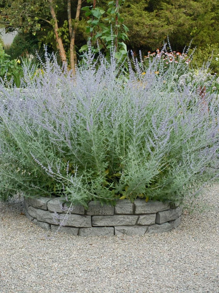 Rock Lock Interlocking Garden System, Curved Sets - Image 4