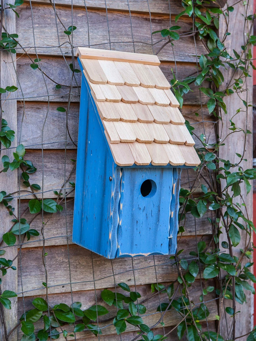 Heartwood Bluebird Bunkhouse Bird House - Image 2