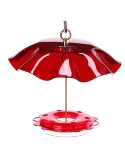 Birds Choice⢠Hummingbird Nectar Feeder With Weather Guard Kit