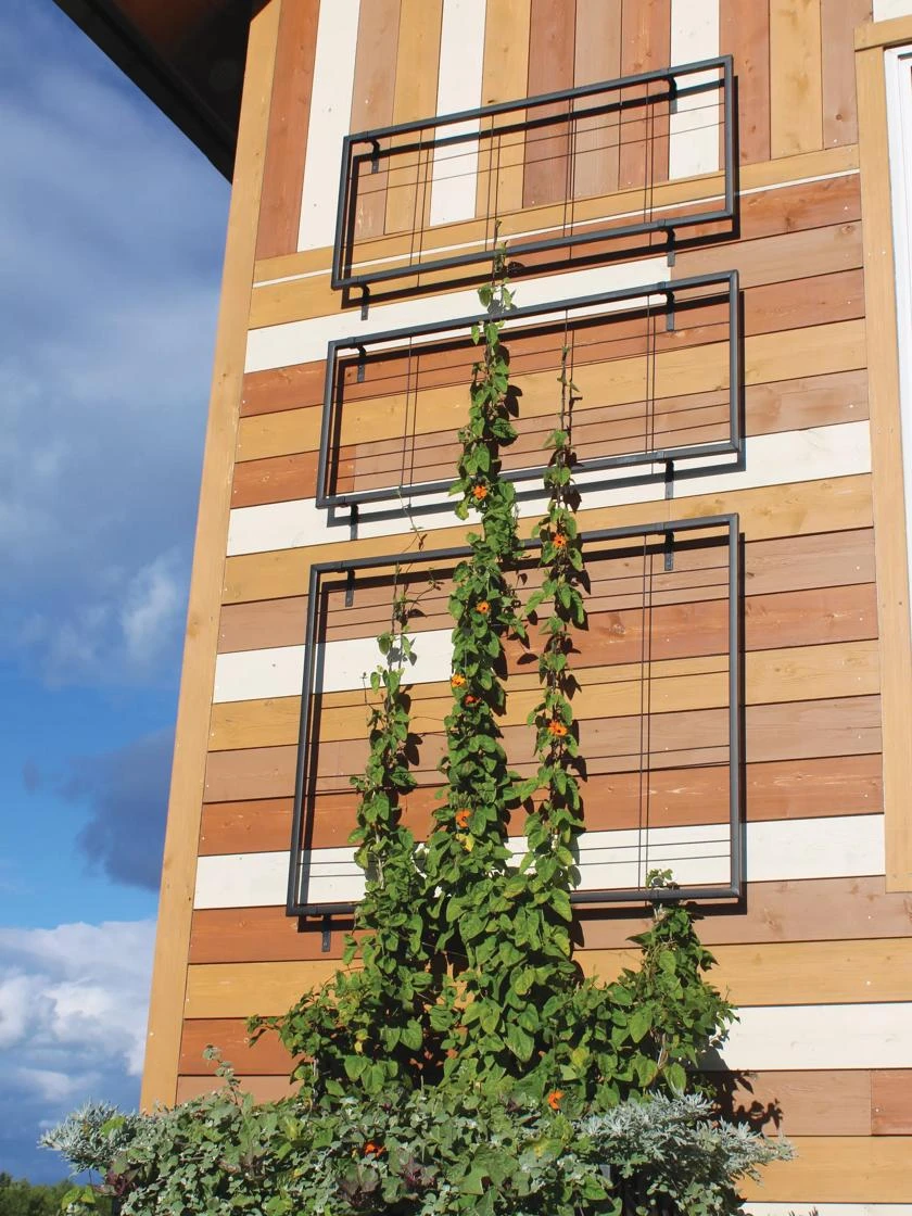 Exeter Wall Trellis - Image 3