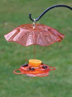 Birds Choiceâ„¢ Oriole Feeder With Bee And Weather Guard