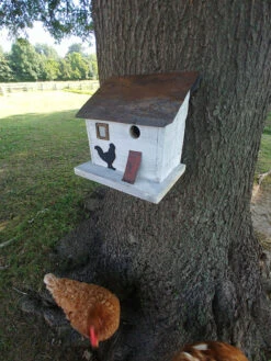 Cumberland Chicken Coop Bird House