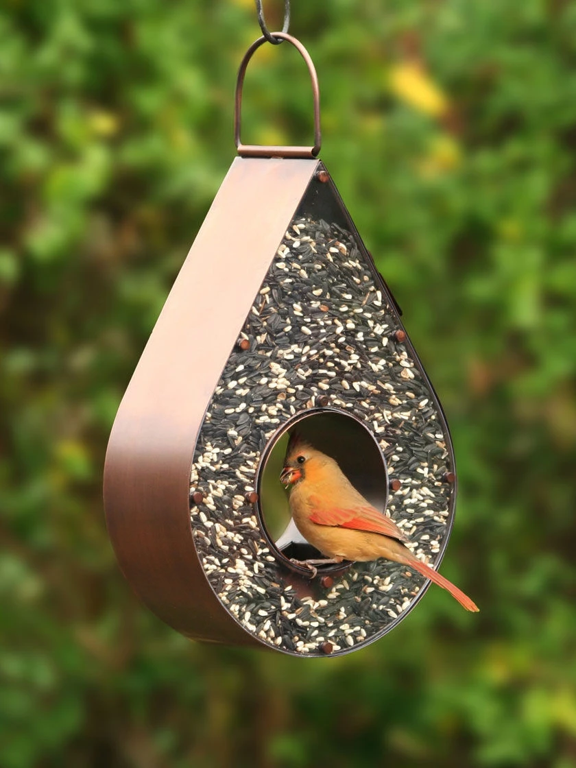 Teardrop Fly-Thru™ Bird Feeder - Image 4