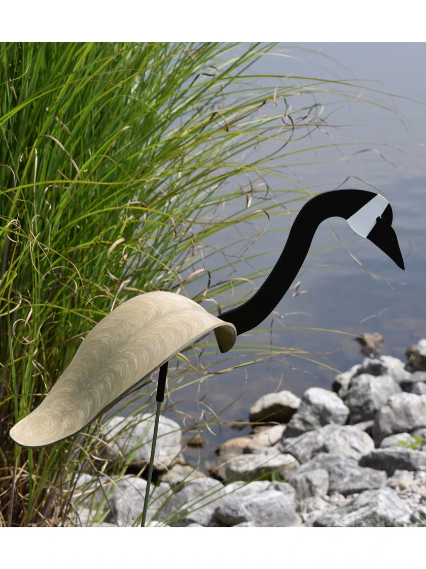 Florida Dancing BirdsĀ®, Canada Goose - Image 2