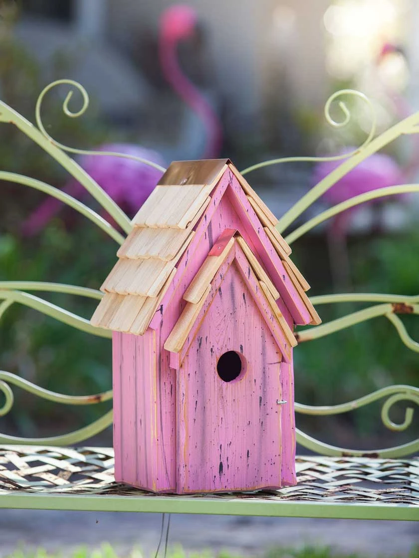 Heartwood Bluebird Brights Bird House - Image 5