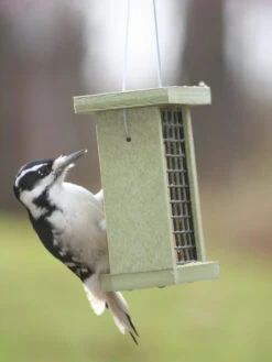 Birds Choiceâ„¢ Suet Feeder