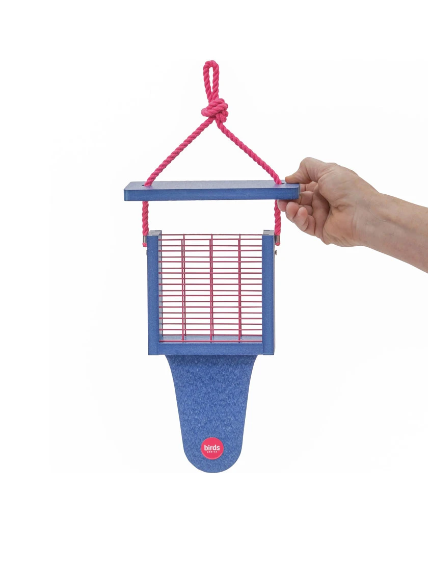 Color Pop Suet Feeder With Tail Prop From Recycled Plastic - Image 3